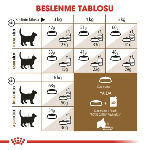 Royal Canin Ageing +12 2 Kg Yaşlı Kuru Kedi Maması - Görsel 3