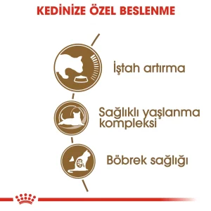 Royal Canin Ageing +12 2 Kg Yaşlı Kuru Kedi Maması - Görsel 2